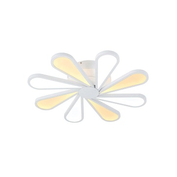 Lucia Tucci Miracoli 201.8 LED