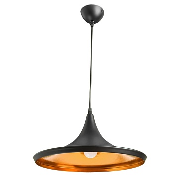 Подвесной светильник Arte Lamp CAPPELLO A3406SP-1BK