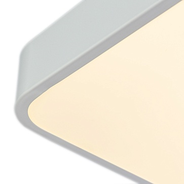 Потолочный светильник Arte Lamp SCENA A2663PL-1WH