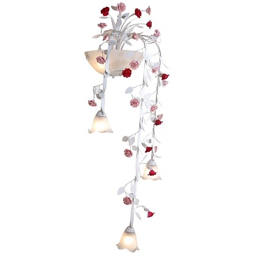 Lucia Tucci Fiori di rose 113.3.2