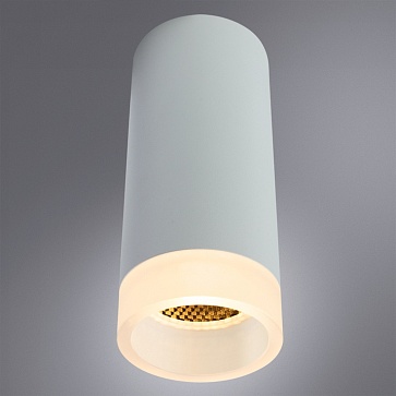 Точечный накладной светильник Arte Lamp OGMA A5556PL-1WH