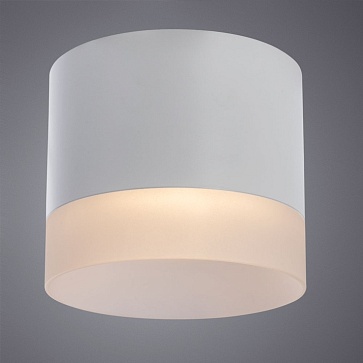Точечный накладной светильник Arte Lamp CASTOR A5554PL-1WH