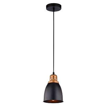 Подвесной светильник Arte Lamp EURICA A4248SP-1BK