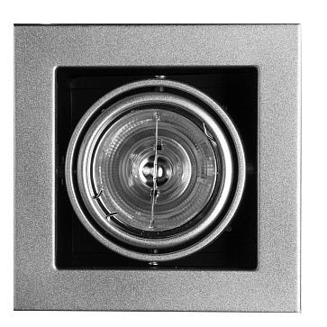 Карданный светильник Arte Lamp CARDANI MEDIO A5930PL-1SI Карданный светильник Arte Lamp CARDANI MEDIO A5930PL-1SI