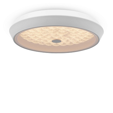 Потолочный светильник FR10012CL-L24W Freya LED Cells