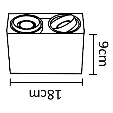Точечный накладной светильник Arte Lamp PICTOR A5655PL-2WH