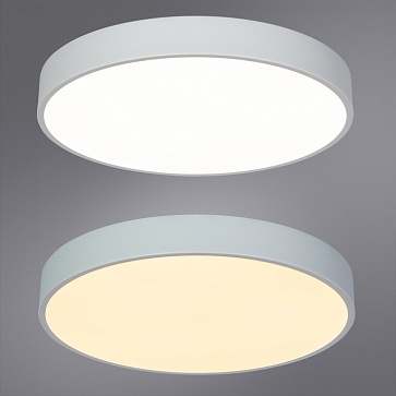 Потолочный светильник Arte Lamp ARENA A2661PL-1WH